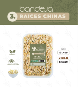 raices cchinas, Chgampiñon tajado, champiñon laminado, champiñones en bogota, productos organicos