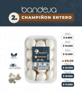 Comercializacion de champiñones, champiñones bogota, champiñones en bogota